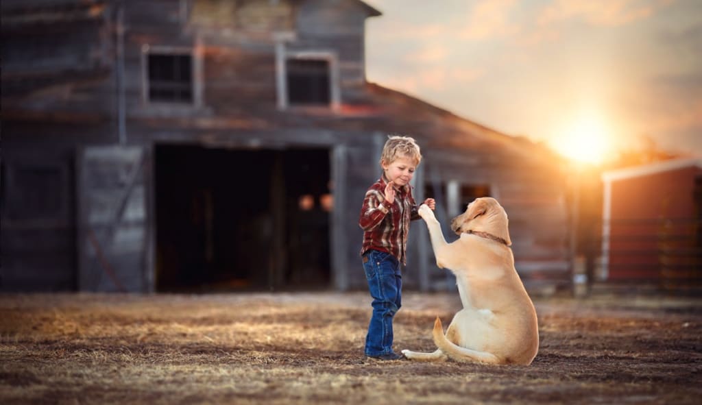 Attachment Theory Attachment Theory