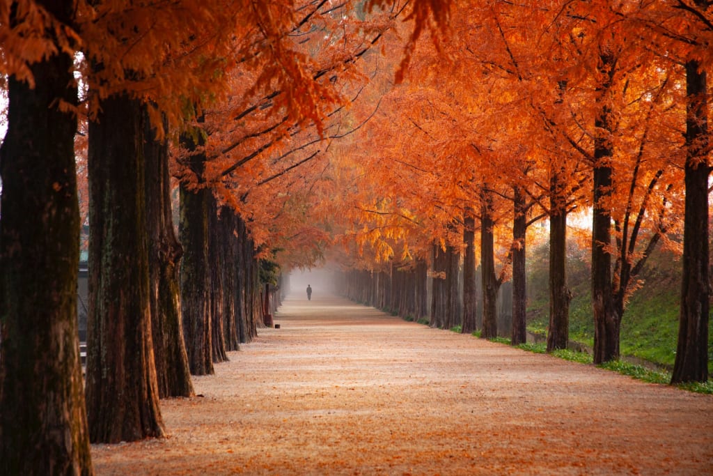 Get Your Wardrobe Ready for Autumn Get Your Wardrobe Ready for Autumn