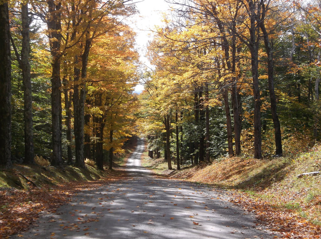 Living on an Old Country Road Living on an Old Country Road
