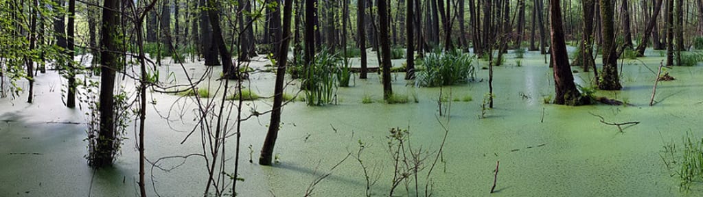 Life and Production: S1 E6: Earth's Dearth Life and Production: S1 E6: Earth's Dearth