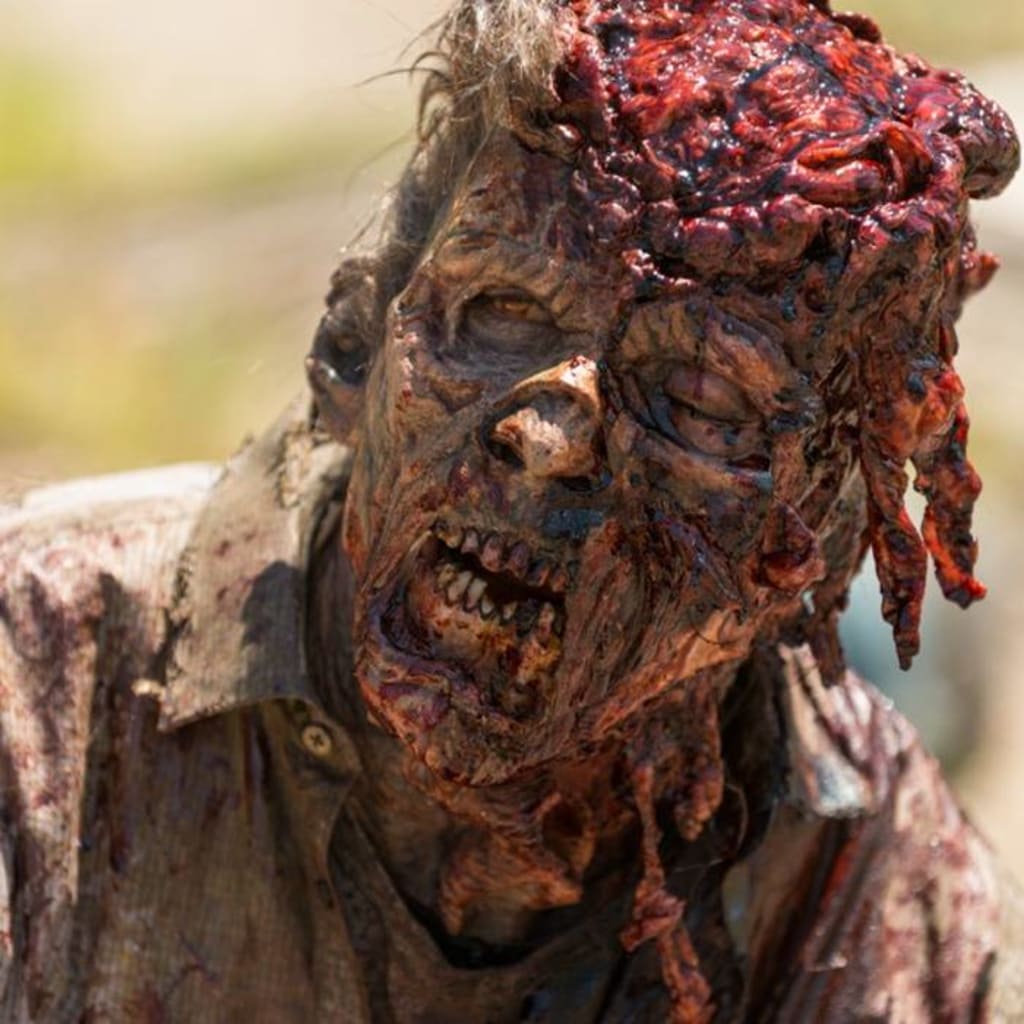 My Zombie Plan - Plan 1 My Zombie Plan - Plan 1