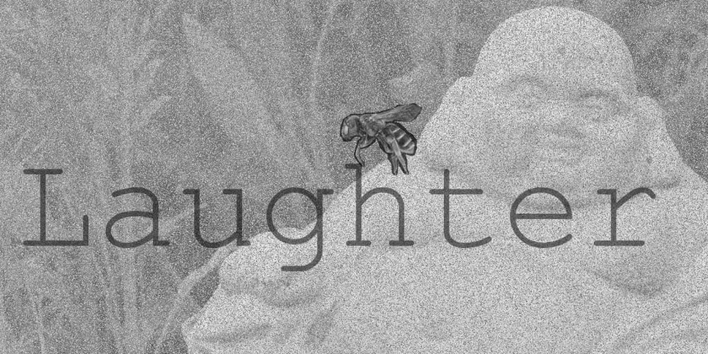 Laughter Laughter