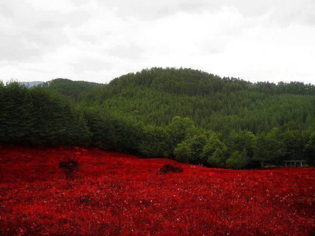 Five Facts About Bulgaria to Start With Five Facts About Bulgaria to Start With