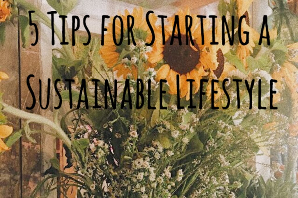 5 Tips for Starting a Sustainable Lifestyle 5 Tips for Starting a Sustainable Lifestyle