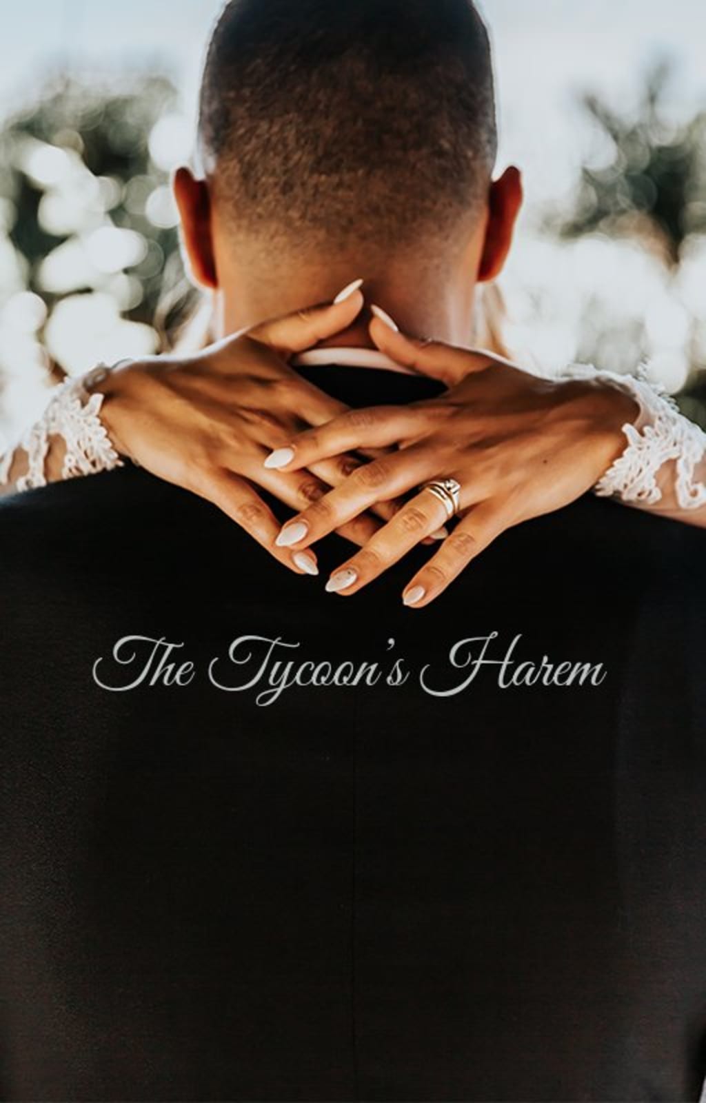 The Tycoon’s Harem The Tycoon’s Harem