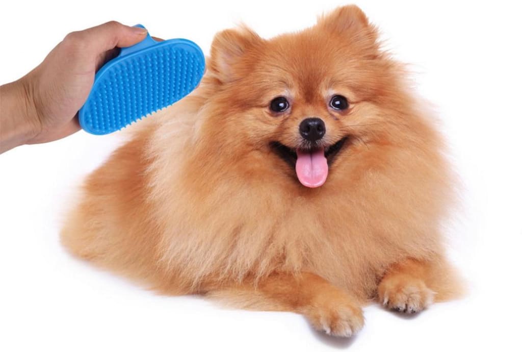 Best Pet Hair Removers for Furry Pet Owners Best Pet Hair Removers for Furry Pet Owners