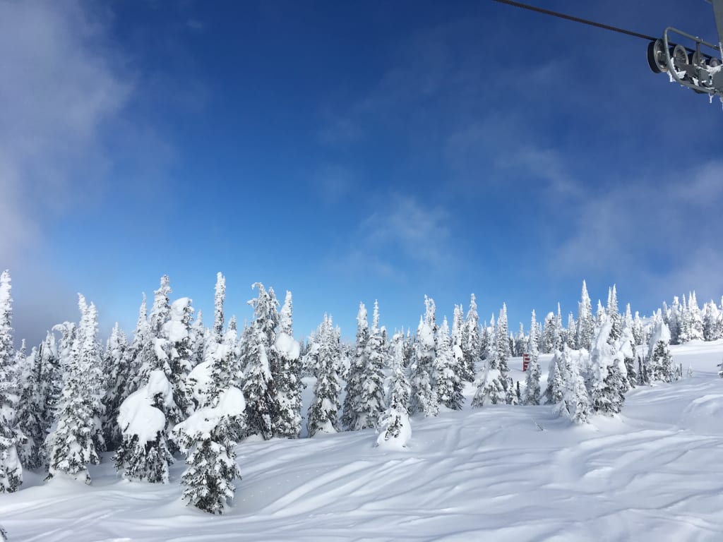 The Bumpy Road to an Unforgettable Winter The Bumpy Road to an Unforgettable Winter