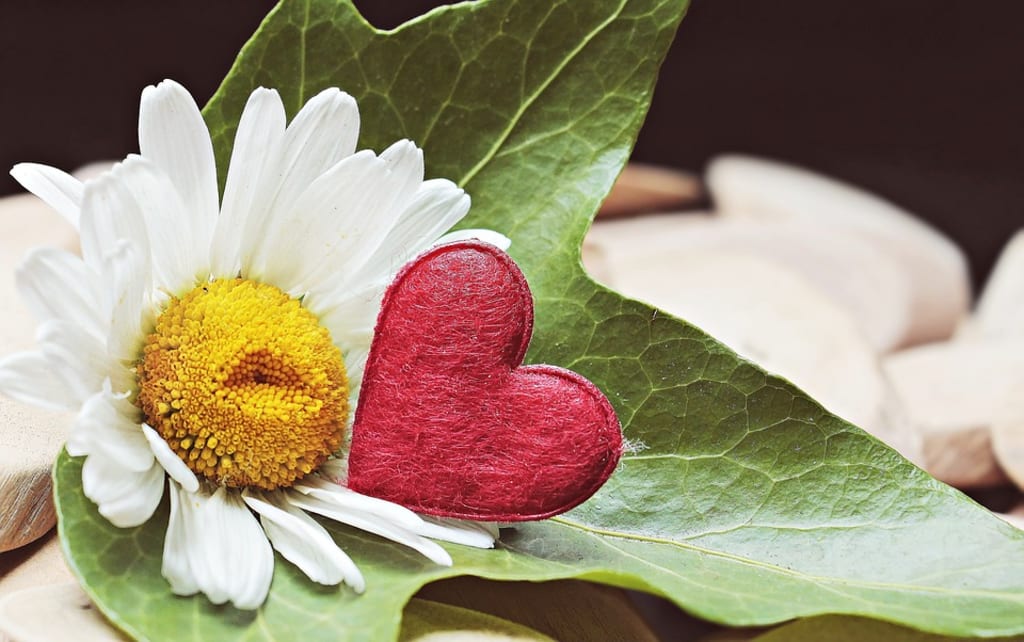 Say "YES" to Life! Say "YES" to Life!
