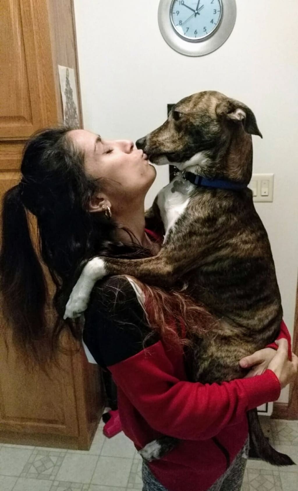 The Day I Became a Dog Mom Changed My Life The Day I Became a Dog Mom Changed My Life
