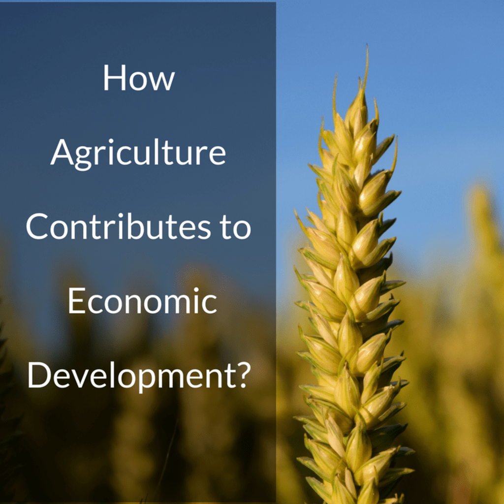 role of agriculture in economic development essay pdf