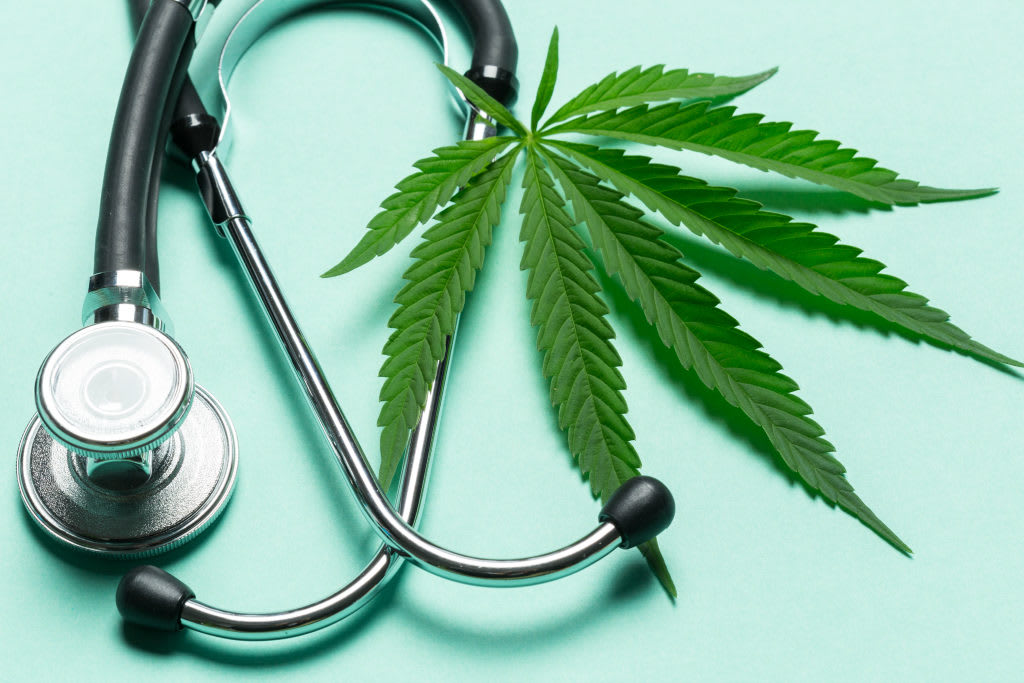 How to Apply for a Medical Marijuana Card in New Jersey How to Apply for a Medical Marijuana Card in New Jersey