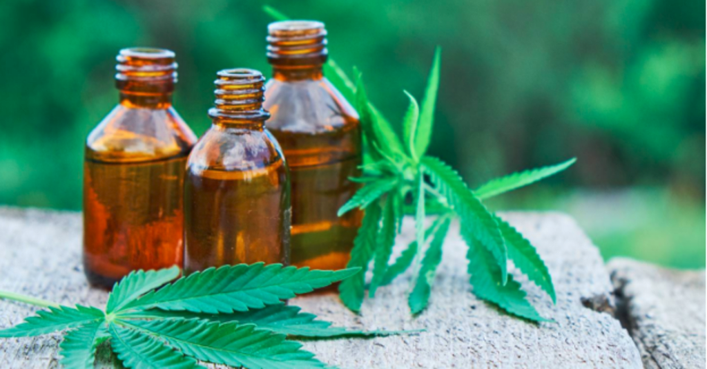 5 Types of Cannabis Users that Will Dominate the World in 2019 5 Types of Cannabis Users that Will Dominate the World in 2019