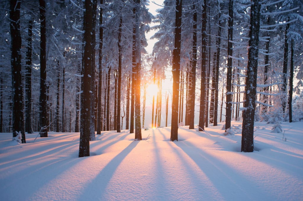 Winter Winter