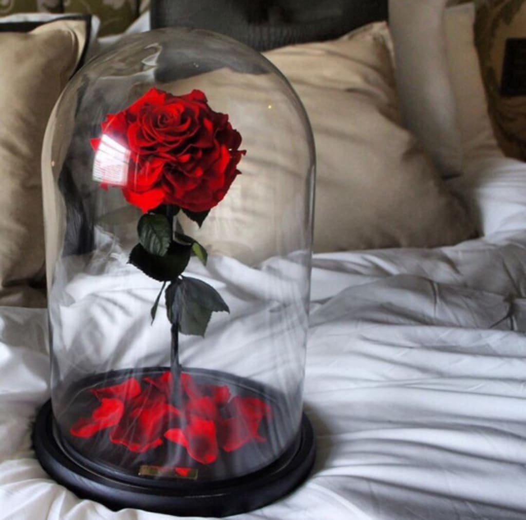 A Rose for You A Rose for You