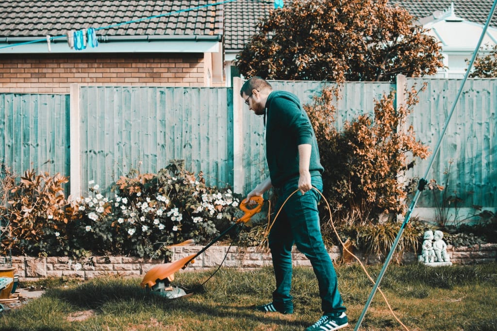 Bring the Beauty of Nature to Your Backyard and Raise the Price of Your Property Bring the Beauty of Nature to Your Backyard and Raise the Price of Your Property