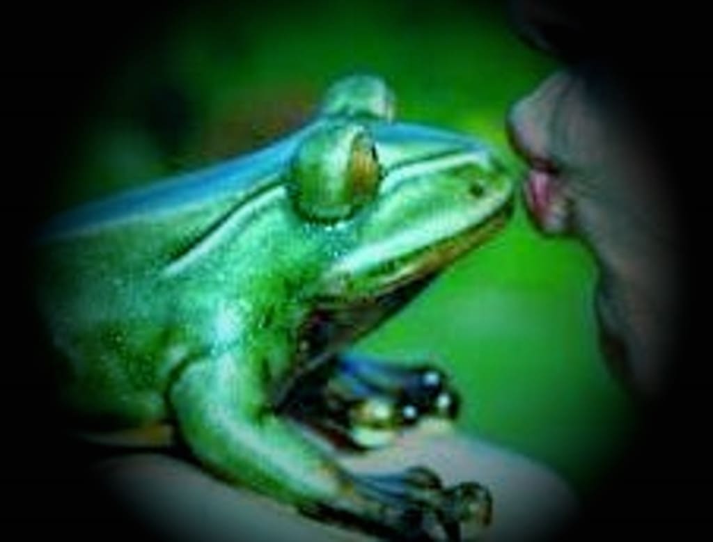 Frogga Frogga