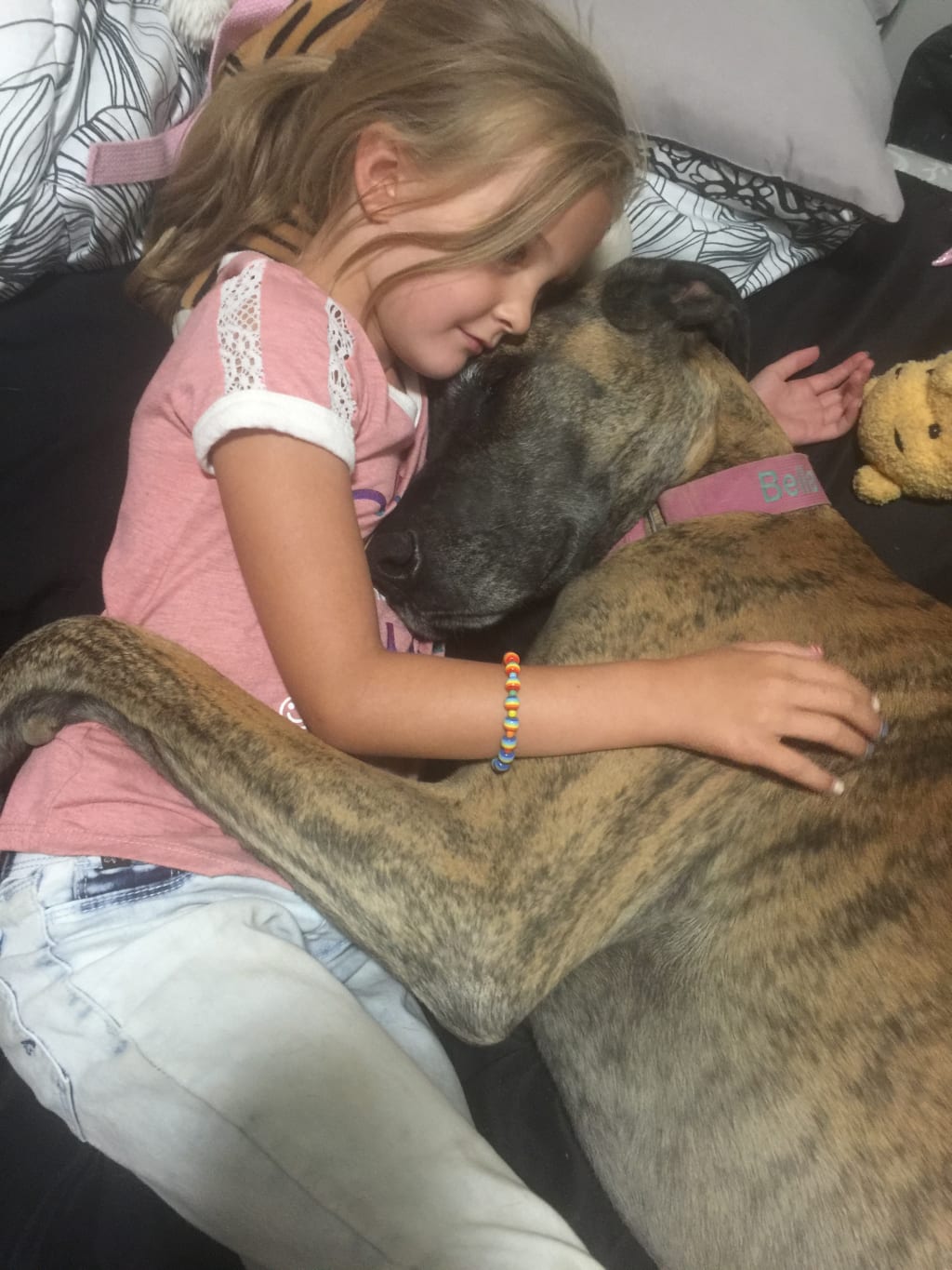 Great Dane Love Petlife