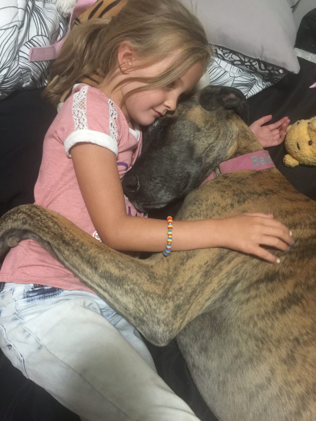 great dane love