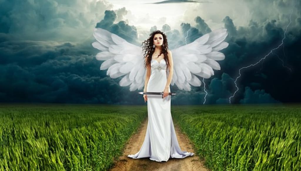 Angel's Kiss Angel's Kiss