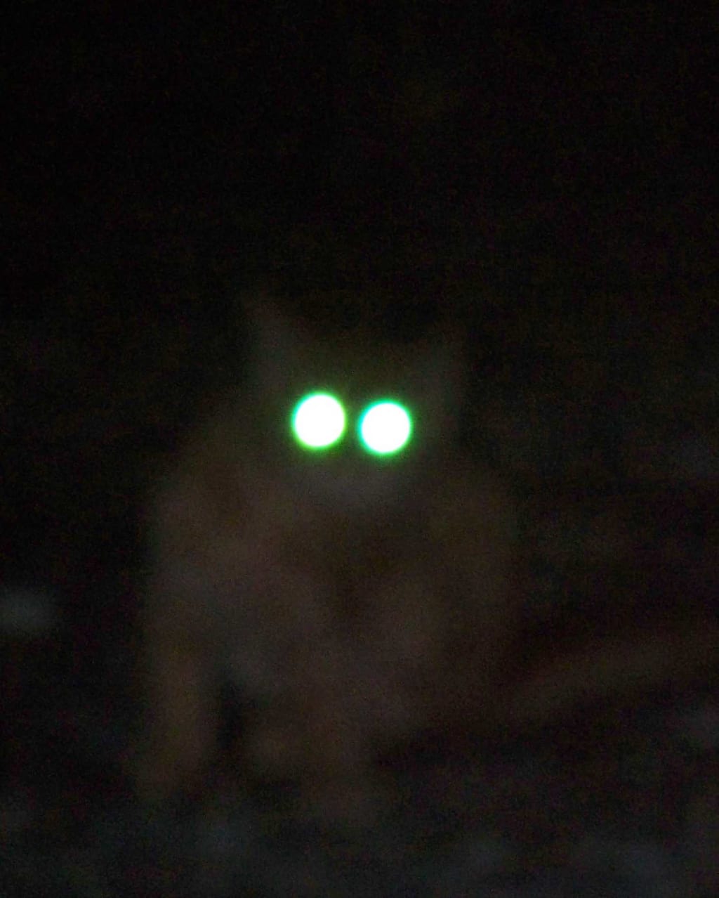 On the Edge of Darkness On the Edge of Darkness