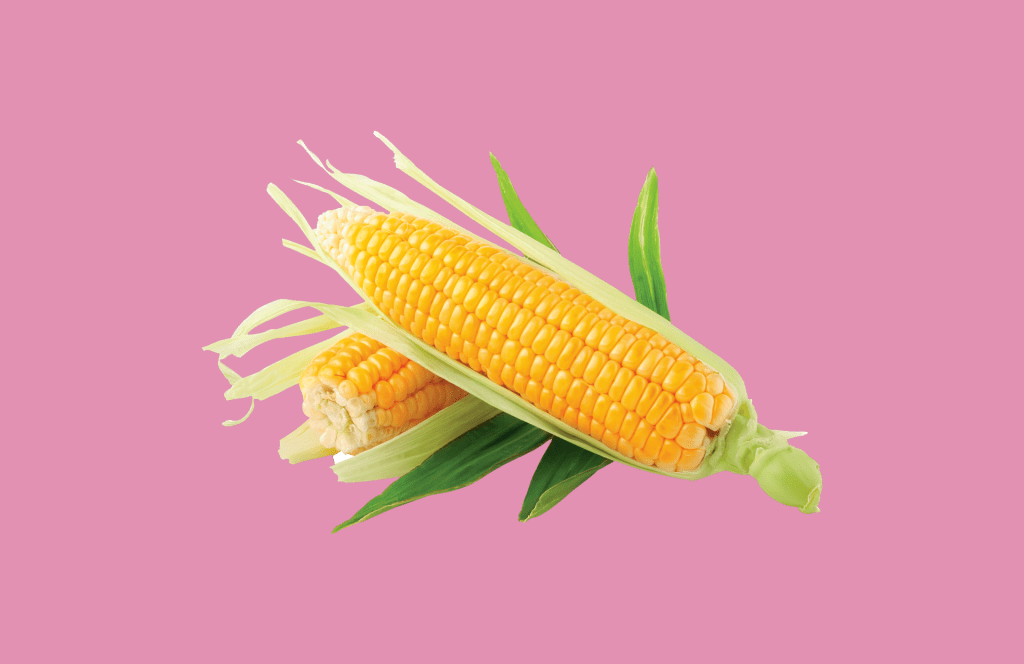 Foods That Are Poisonous To Dogs Foods That Are Poisonous To Dogs