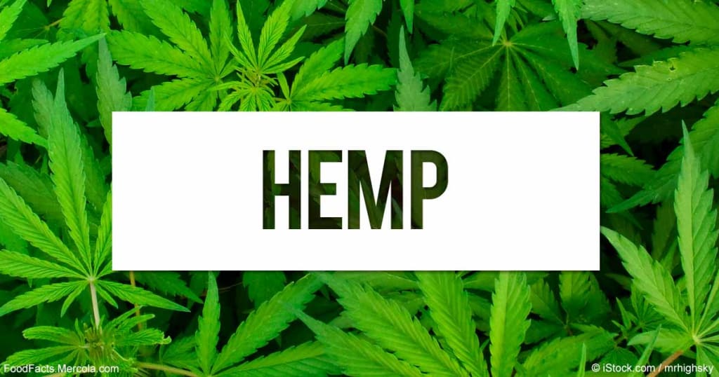 Hemp, the Next Super Crop? Hemp, the Next Super Crop?