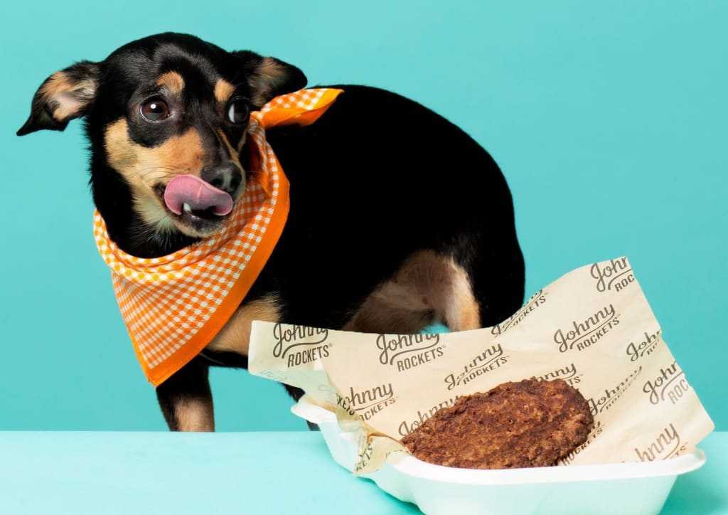 Restaurants with Secret Menu Items for Dogs Restaurants with Secret Menu Items for Dogs