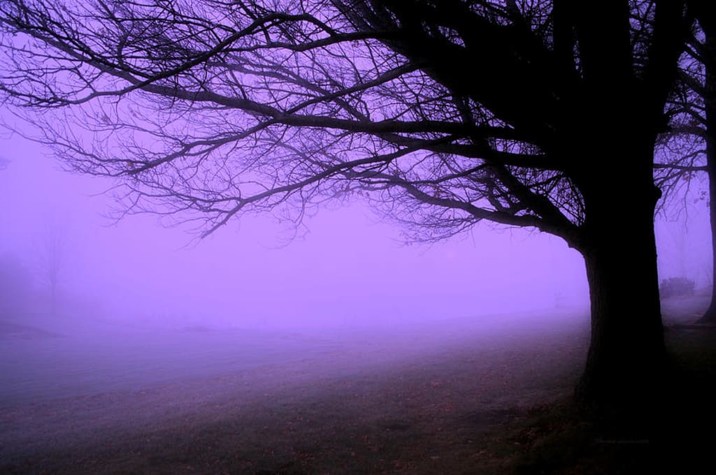 The Fog The Fog