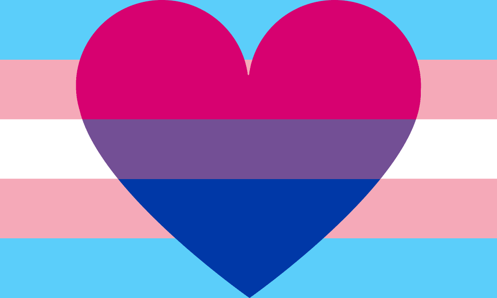 I Will Always Be Trans Before I Am Bi I Will Always Be Trans Before I Am Bi