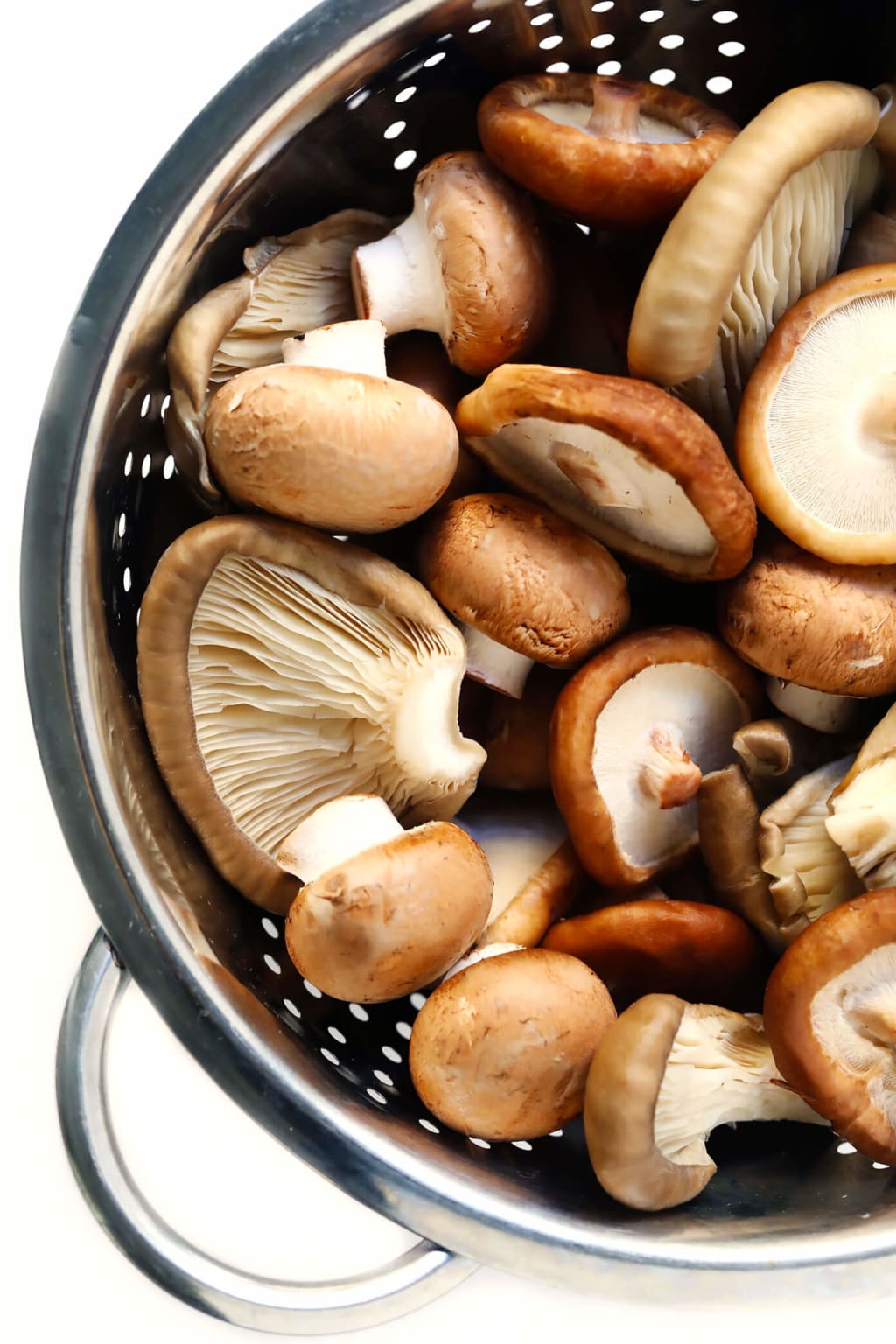 5 Mushrooms You Should Know 5 Mushrooms You Should Know