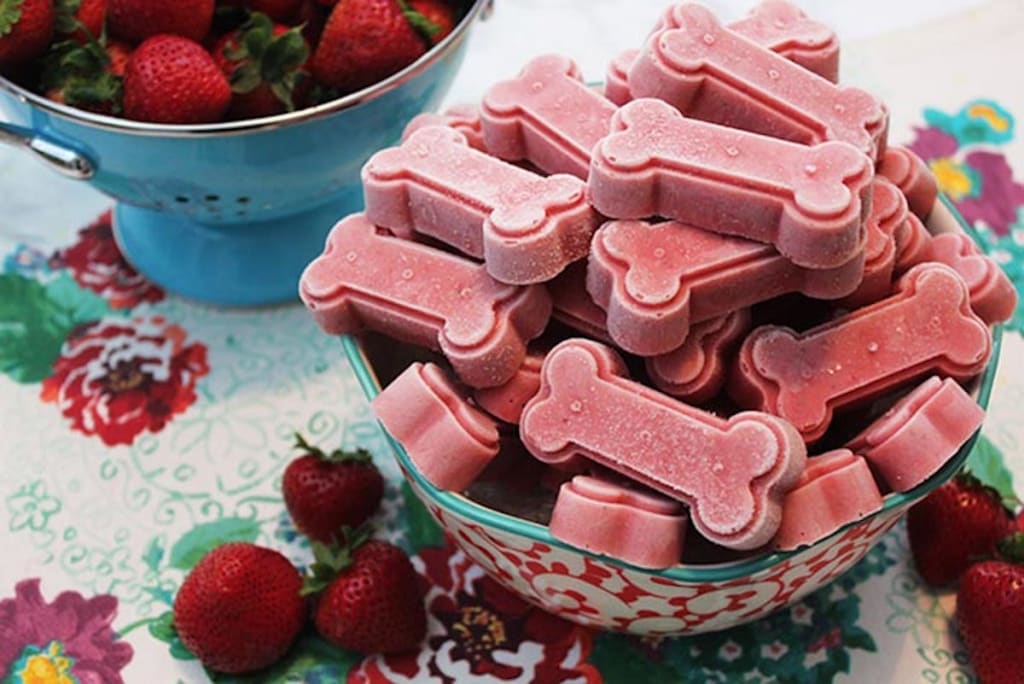 Frozen Dog Treat Recipes That Will Cool Your Dog Off This Summer Frozen Dog Treat Recipes That Will Cool Your Dog Off This Summer