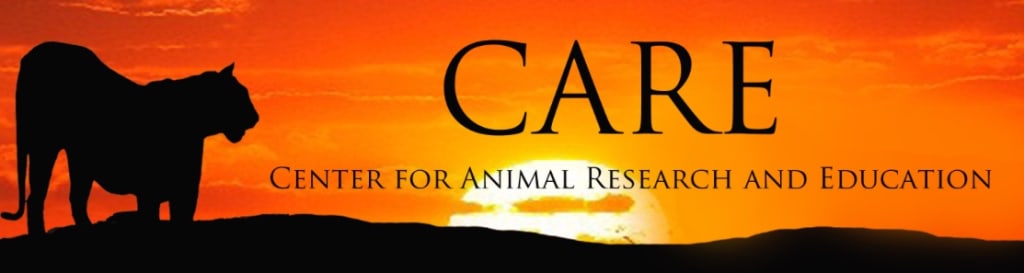 C.A.R.E. and BigCatDerek C.A.R.E. and BigCatDerek