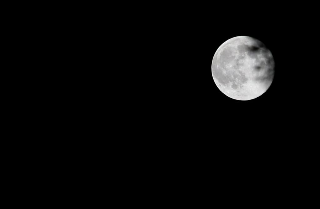 "Make Way" Part Eight: Look Above and Listen for the Moon Serenade "Make Way" Part Eight: Look Above and Listen for the Moon Serenade