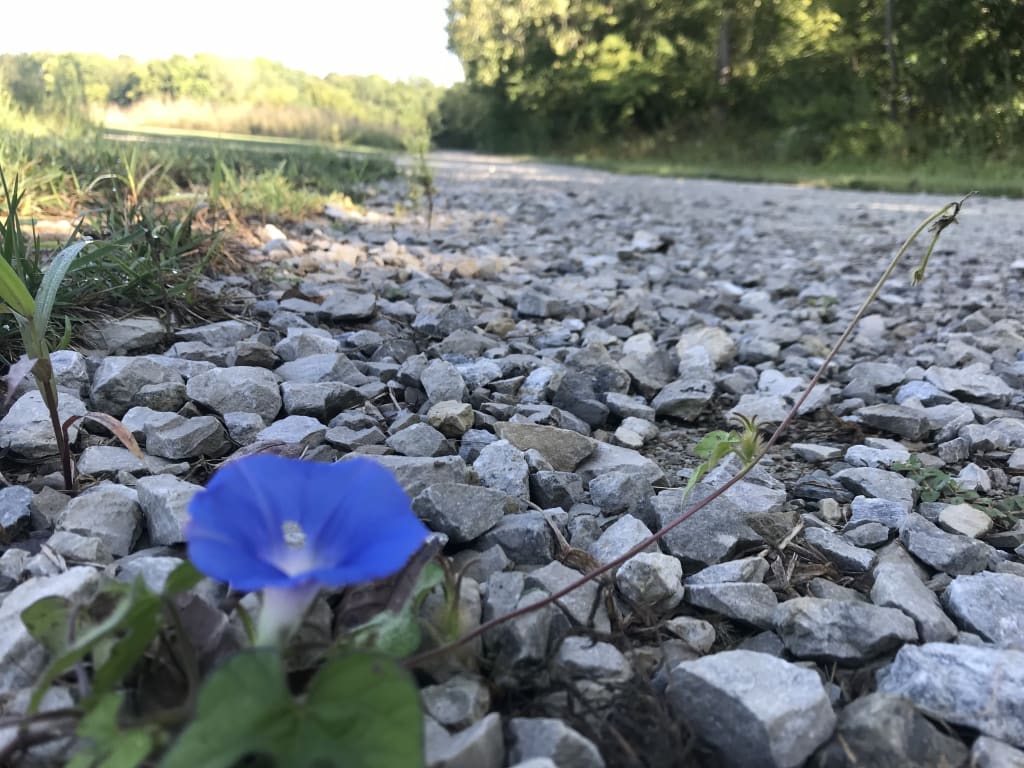 Perspective Perspective