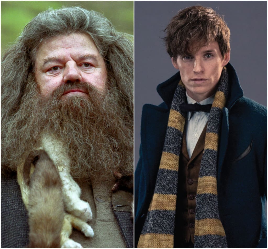 Could Newt Be Hagrid's Father? Geeks