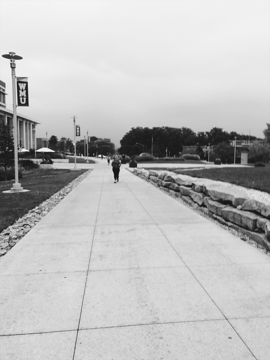 University University