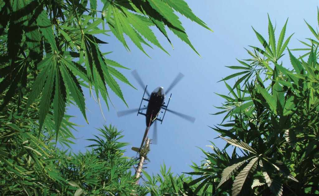 Why Is Marijuana Still Illegal? Why Is Marijuana Still Illegal?