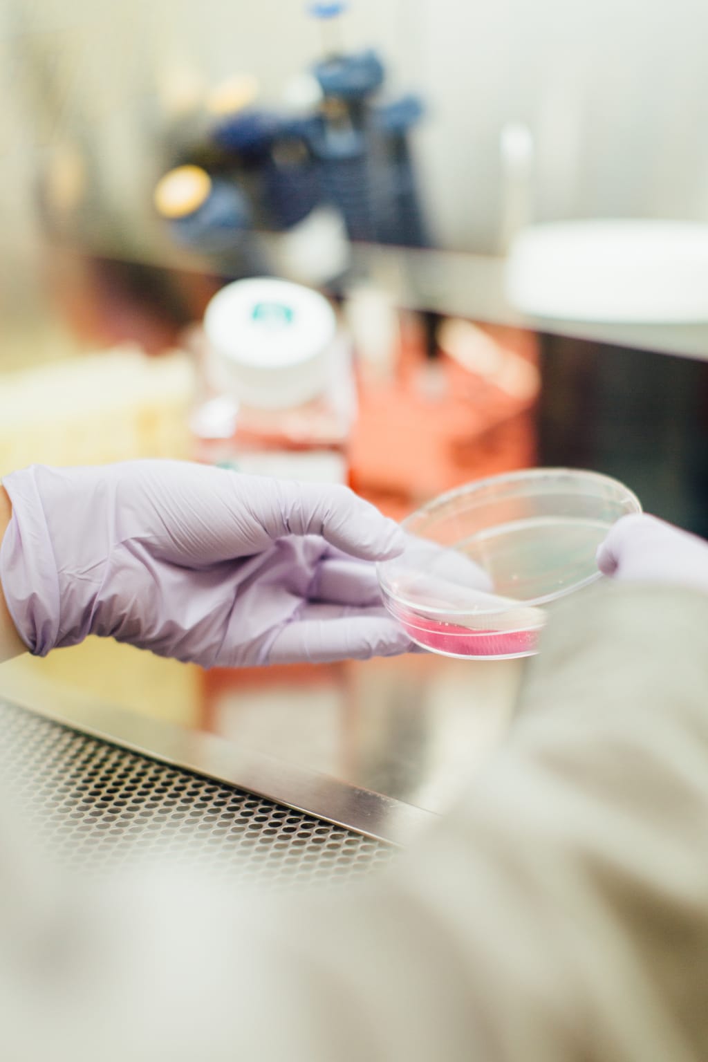 Urinary Tract Infections Urinary Tract Infections