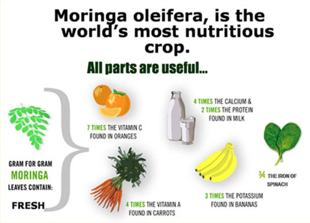 Ultimate Benefits of the Magical Herb Moringa