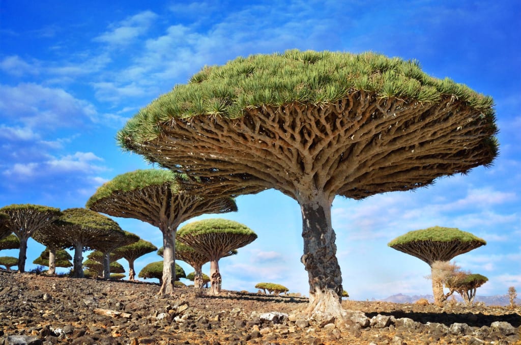 Most Surreal Places You Can Visit Most Surreal Places You Can Visit