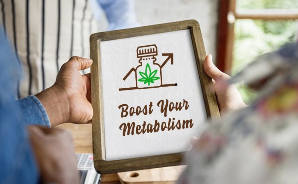 How Can Taking CBD Oil Increase Your Metabolism How Can Taking CBD Oil Increase Your Metabolism