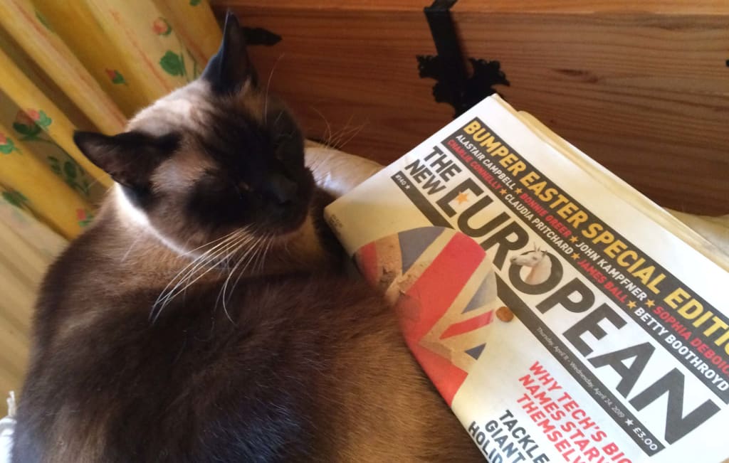 Omar's Diary to May 11, 2019 Omar's Diary to May 11, 2019