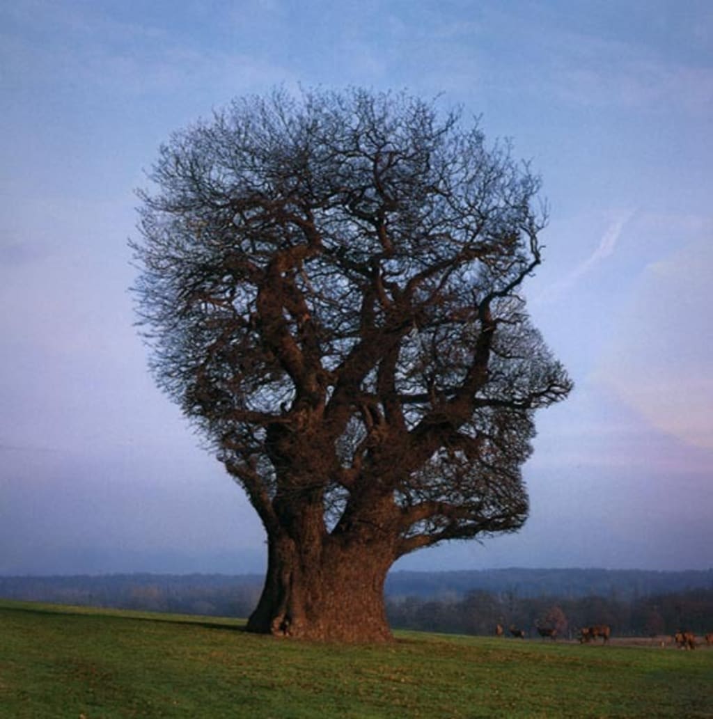 How Mindfulness Has Improved the Treatment of Mental Illness How Mindfulness Has Improved the Treatment of Mental Illness