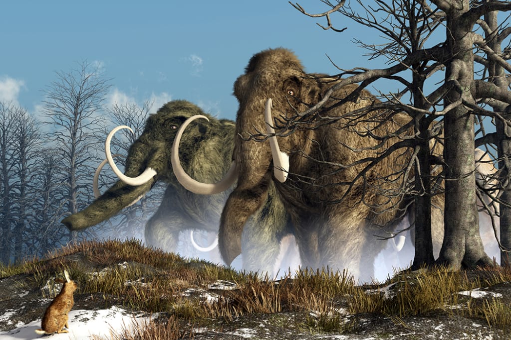 megafauna-you-may-never-have-heard-of-that-went-extinct