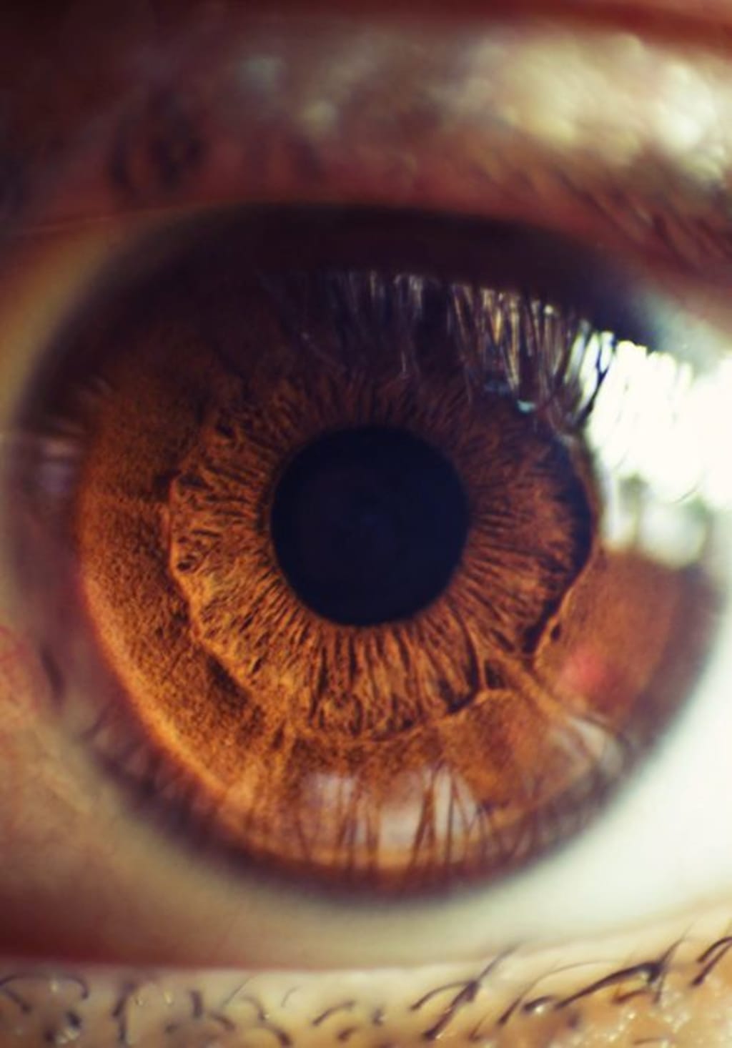 Soulful Eyes Soulful Eyes