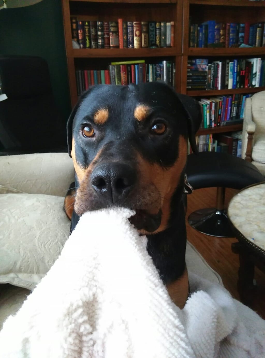 Meet Freyja, the Destroyer Meet Freyja, the Destroyer