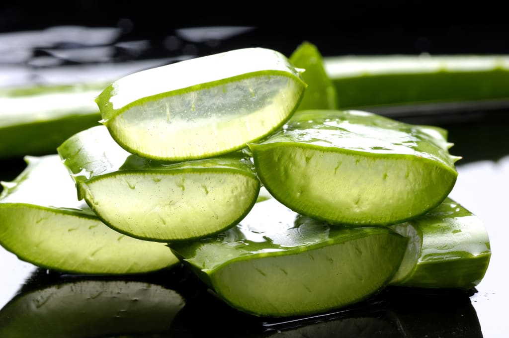 The Amazing Benefits of Aloe Vera The Amazing Benefits of Aloe Vera