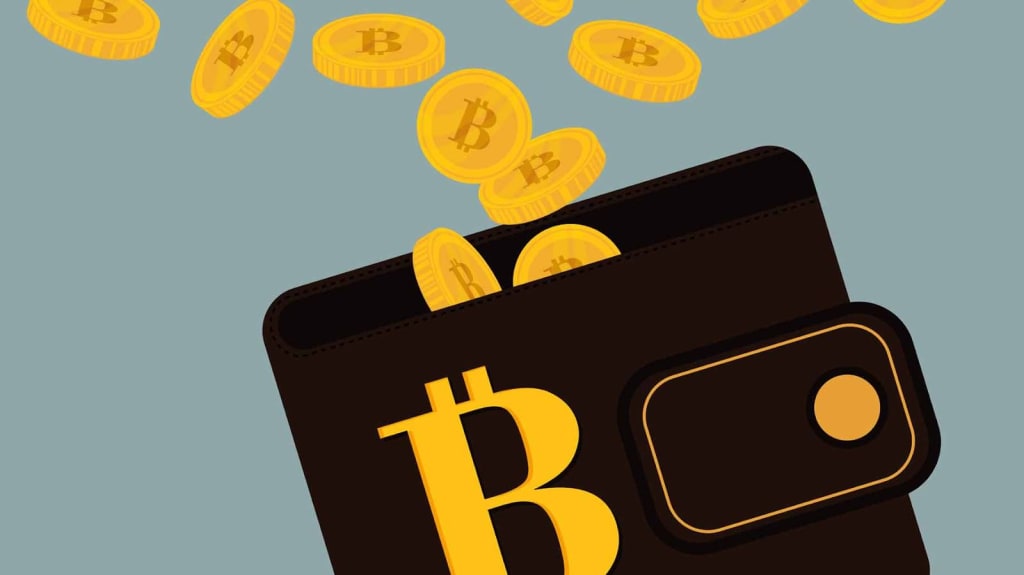 Why You Need a Bitcoin Wallet When You Travel Why You Need a Bitcoin Wallet When You Travel