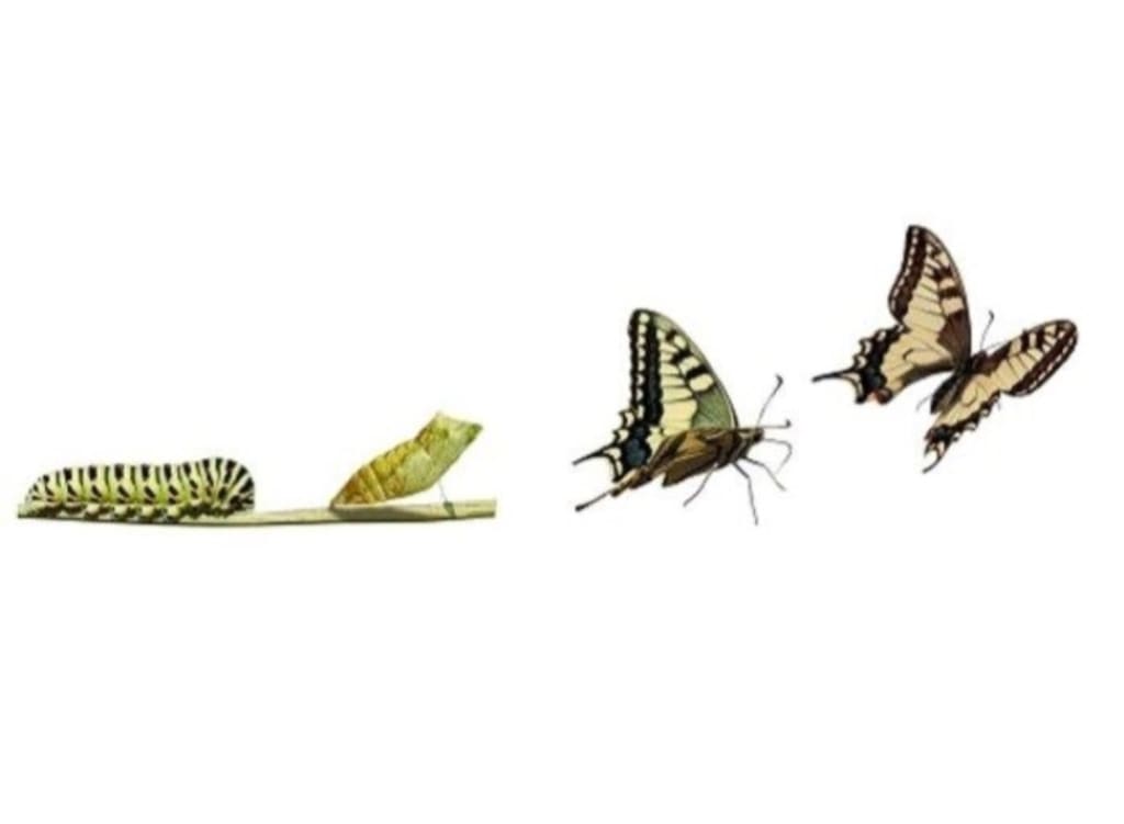 Change and Why It’s Not So Scary Change and Why It’s Not So Scary