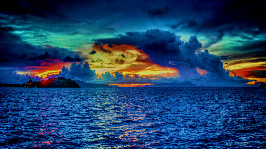 The Sea Was Alive The Sea Was Alive